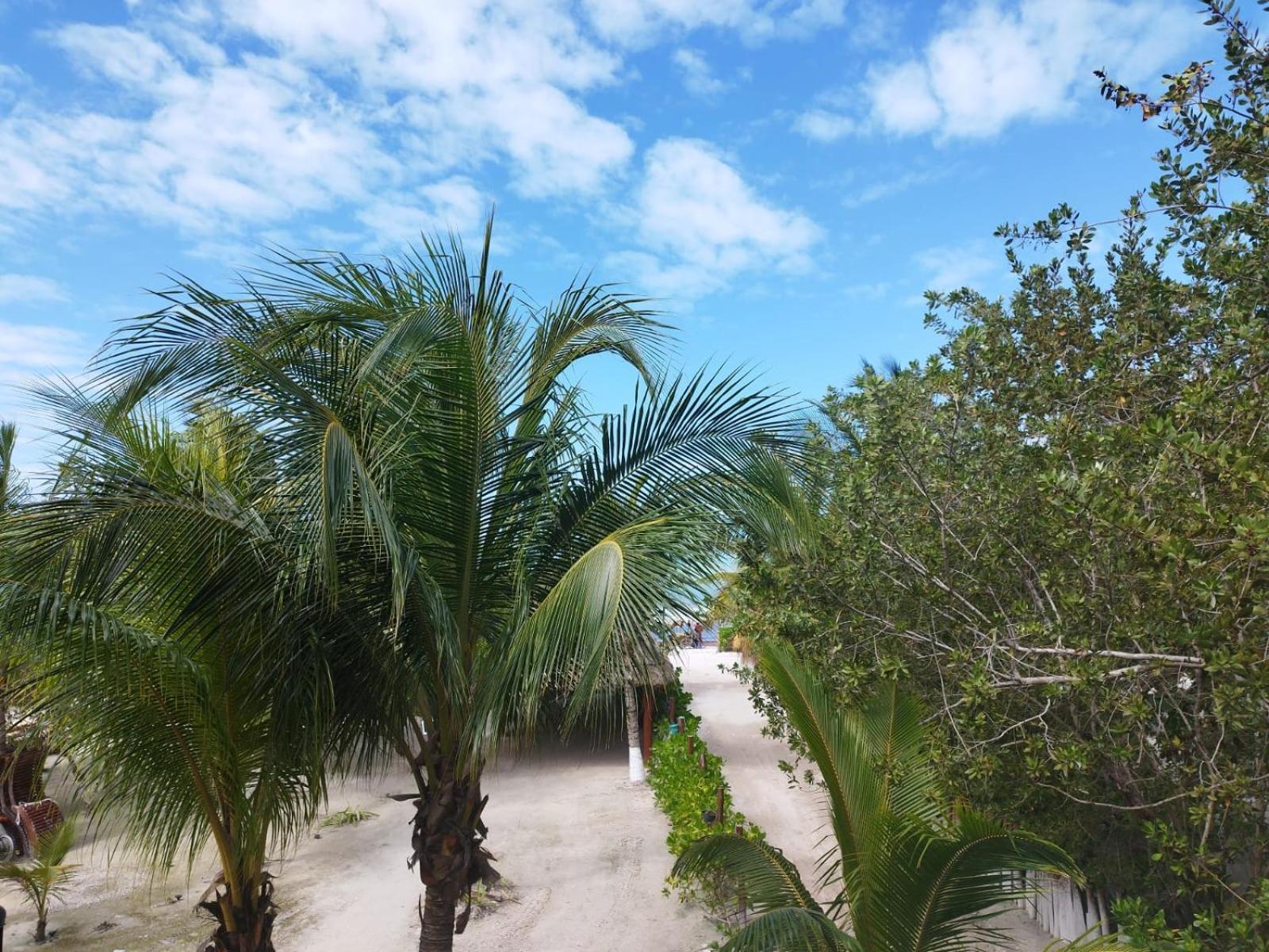 Hotelito Crismi Isla Holbox Exterior photo
